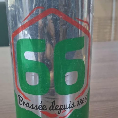 BIERE 66 VERT 50CL